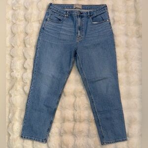 Everlane Curvy Cheeky Jean